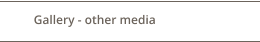 Gallery - other media